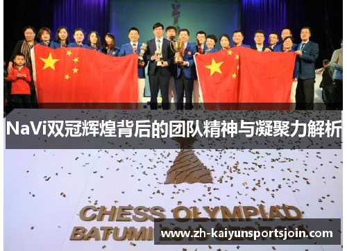 NaVi双冠辉煌背后的团队精神与凝聚力解析