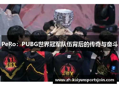 PeRo：PUBG世界冠军队伍背后的传奇与奋斗