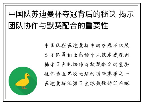 中国队苏迪曼杯夺冠背后的秘诀 揭示团队协作与默契配合的重要性