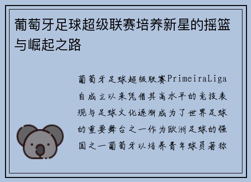 葡萄牙足球超级联赛培养新星的摇篮与崛起之路