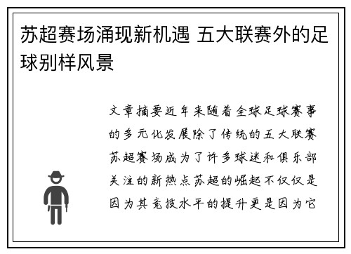 苏超赛场涌现新机遇 五大联赛外的足球别样风景
